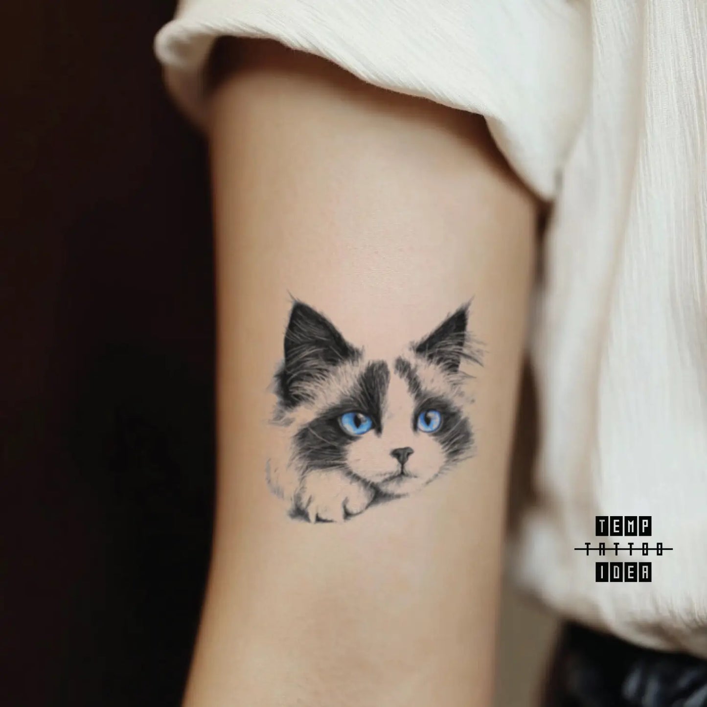 best cool simple small black white grey color sketch pencil sketch blue eyes ragdoll cat animal symbol fake temporary tattoo sticker design idea for men and women on bicep