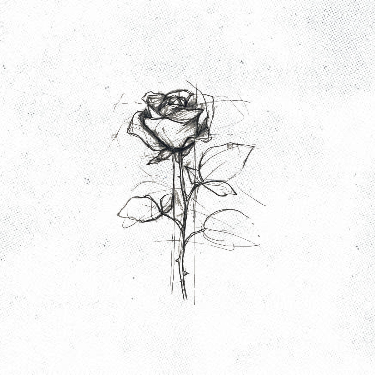 Rose Sketch Tattoo Idea Design Digital Artwork Vector File