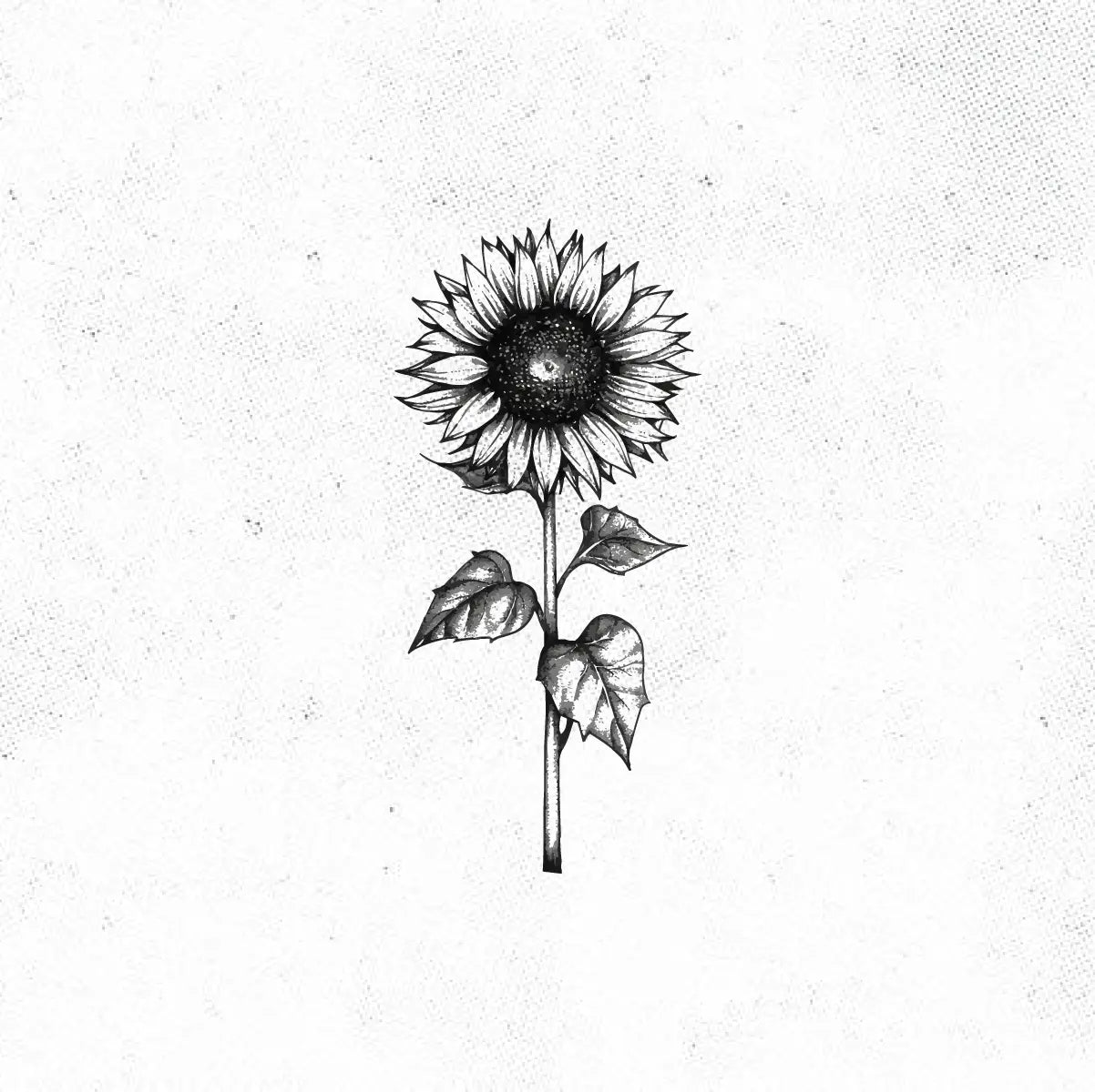 Black and White Sunflower Tattoo Idea Desgin Digital Artwork Vector File