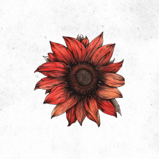 Red Sunflower Tattoo Idea Desgin Digital Artwork Vector File