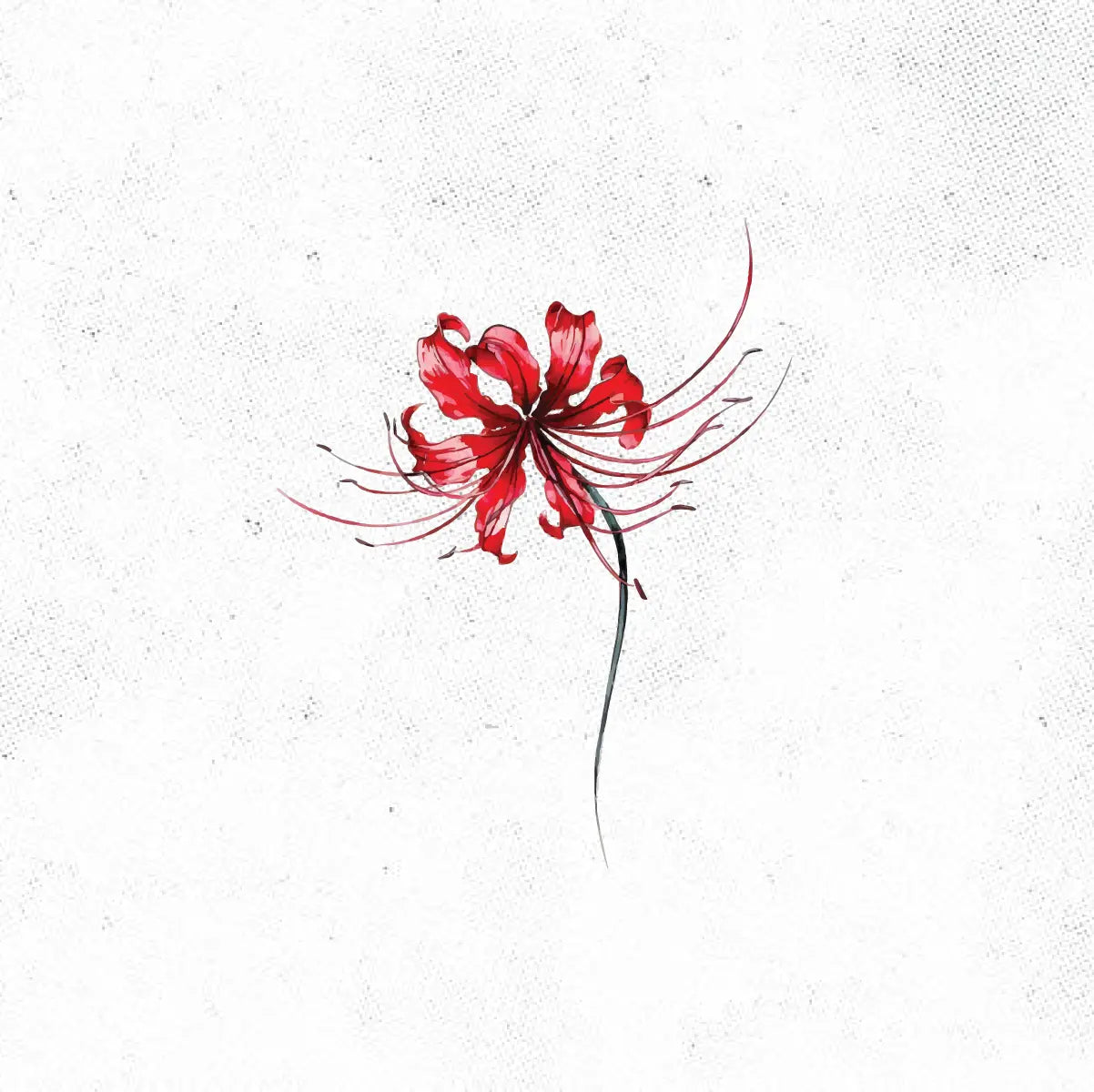 Red Spider Lily Tattoo Idea Design Digital Artwork Vector File