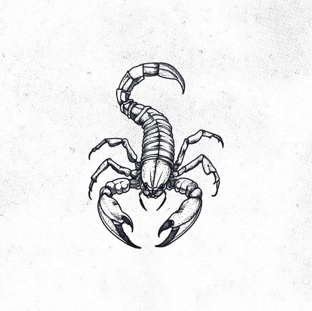 Simple Scorpion Outline Tattoo Idea Design Digital Artwork Vector File