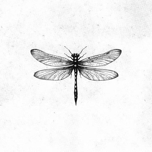 Simple Realistic Dragonfly Tattoo Idea Design Digital Artwork Vector File