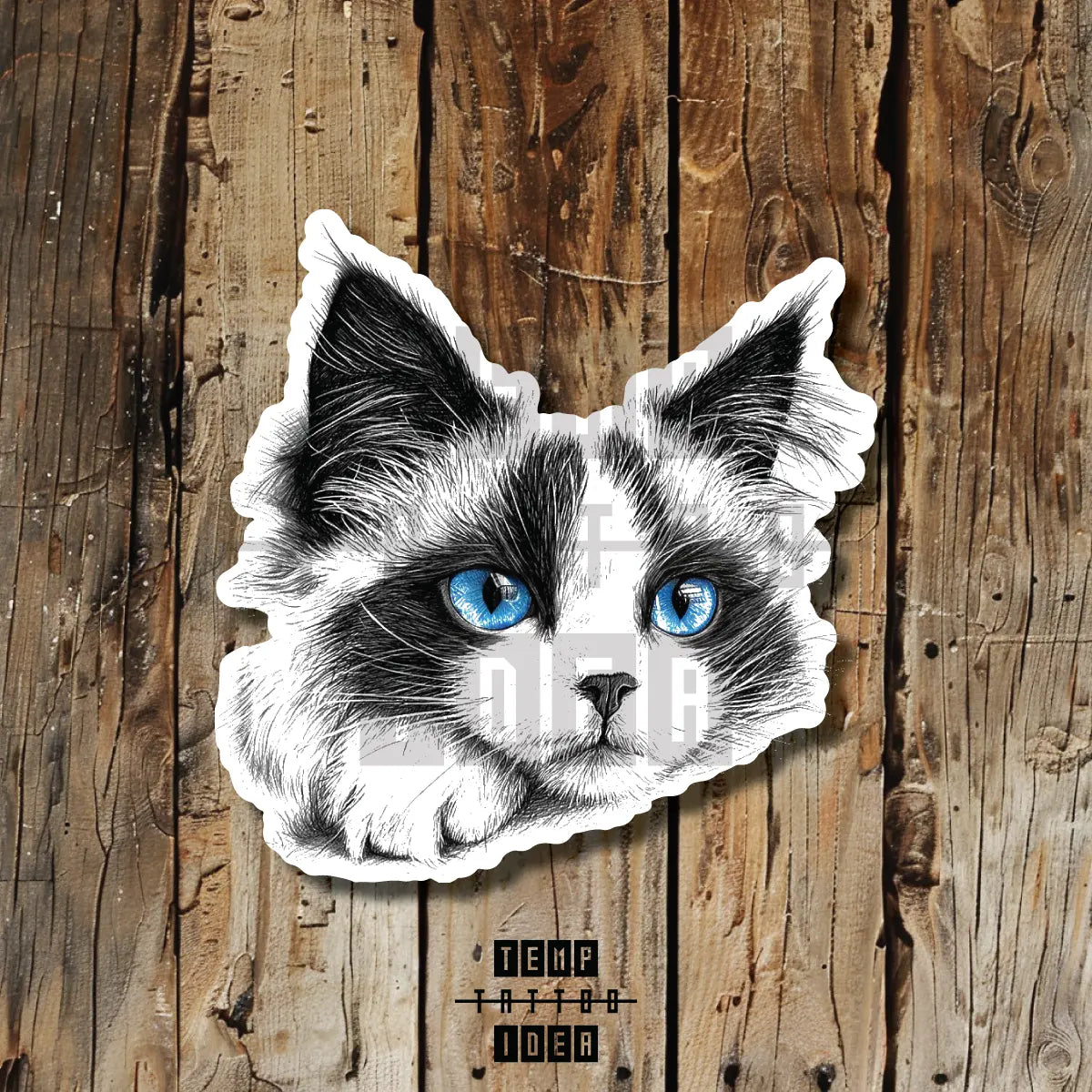 Pencil Sketch Blue Eyes Ragdoll Cat Multi-Size Temporary Tattoo Idea Design Vinyl Sticker